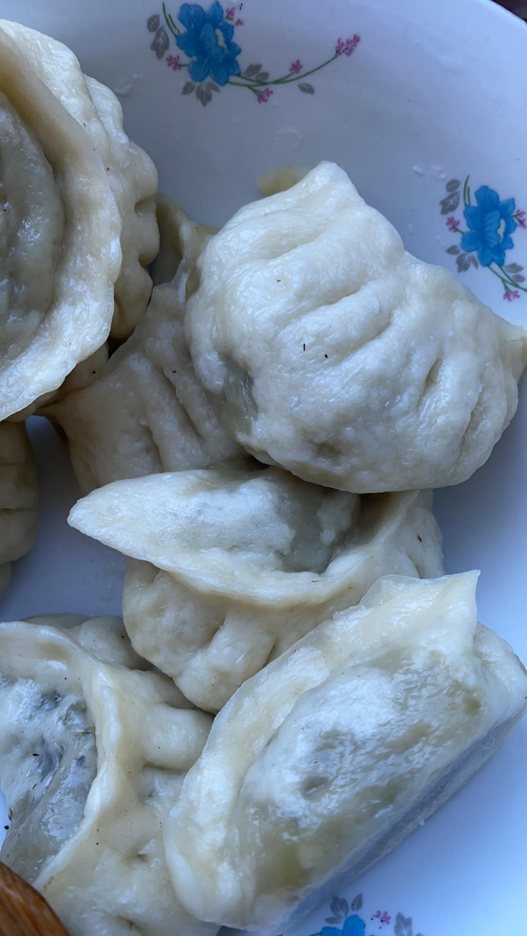马齿苋干菜馅儿包子