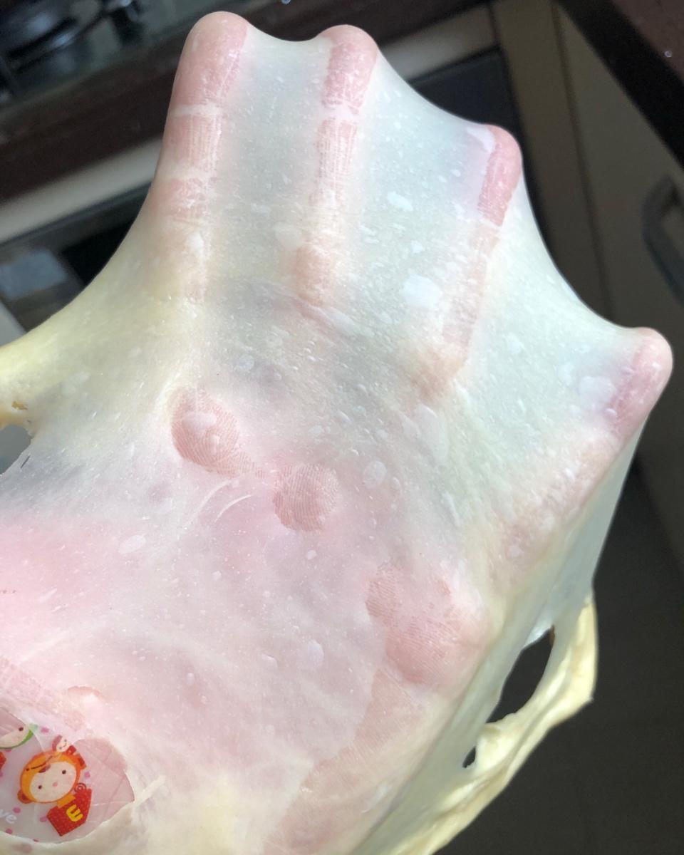 吐司面包（一次发酵）