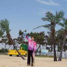 这是我的日食记