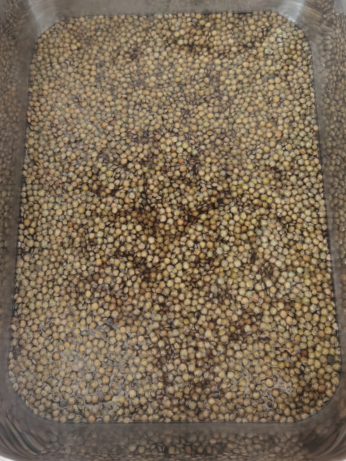 琵琶腿炖小扁豆，豆不用提前泡的做法 步骤8