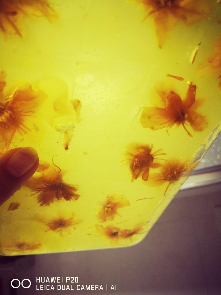 樱花水晶皮冻