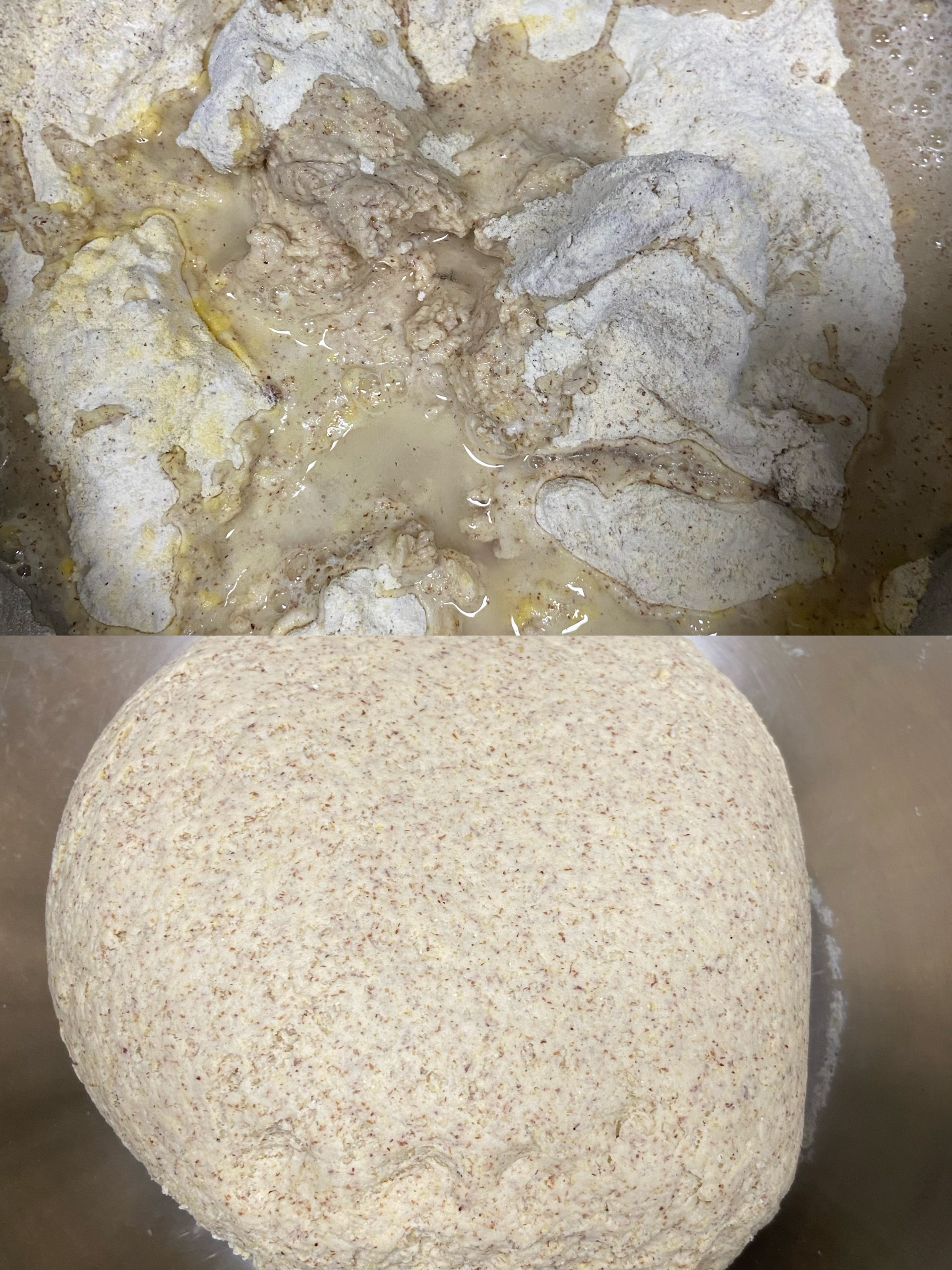老面发酵-杂粮黑全麦馒头的做法 步骤3