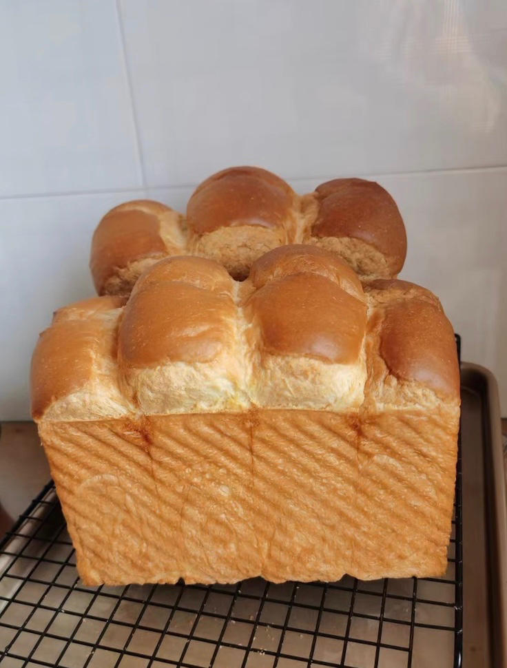 波兰种椰香吐司｜柔软拉丝巨好吃❗️❗️❗️