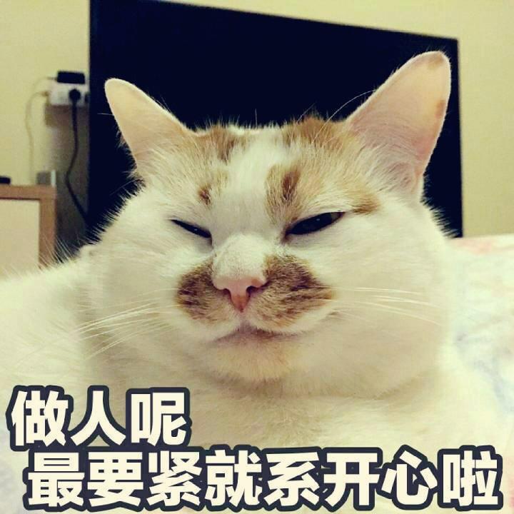 陈坑坑kk