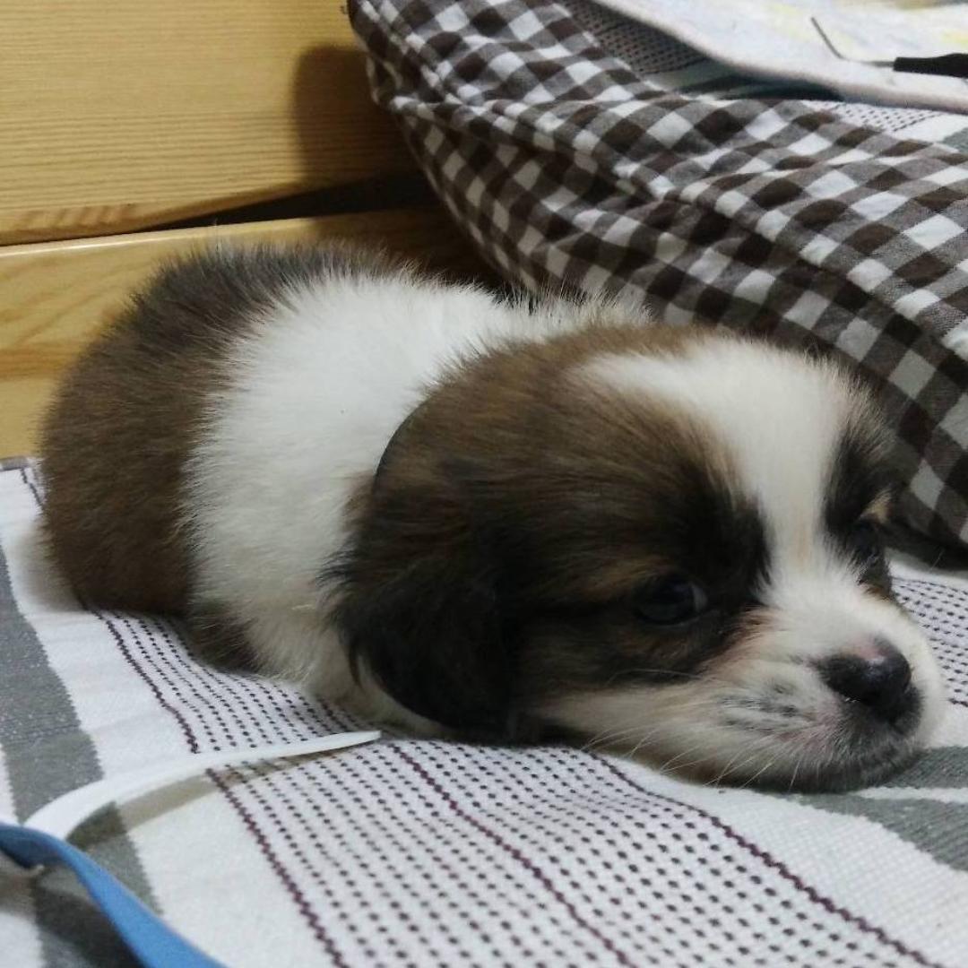 且以清歌宽离忧