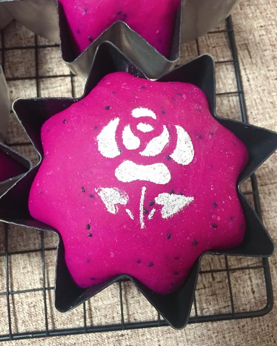 我的减脂冲刺日志