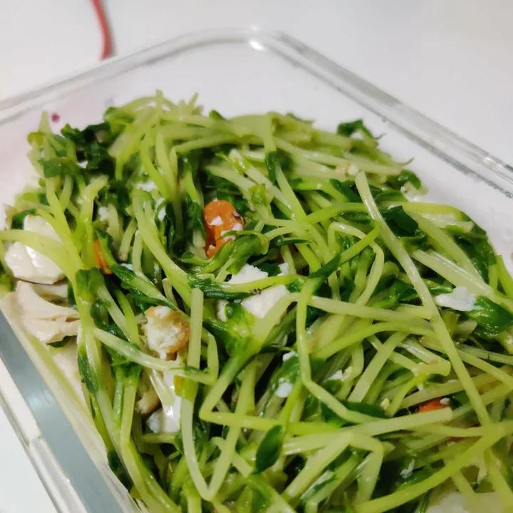 上汤豆苗