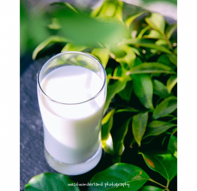 花生红枣豆奶（豆浆机版）