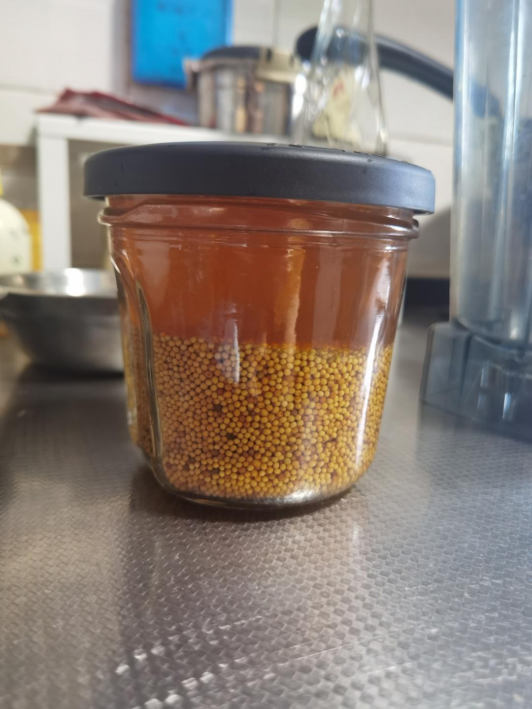 Dijon Mustard法式第戎芥末酱