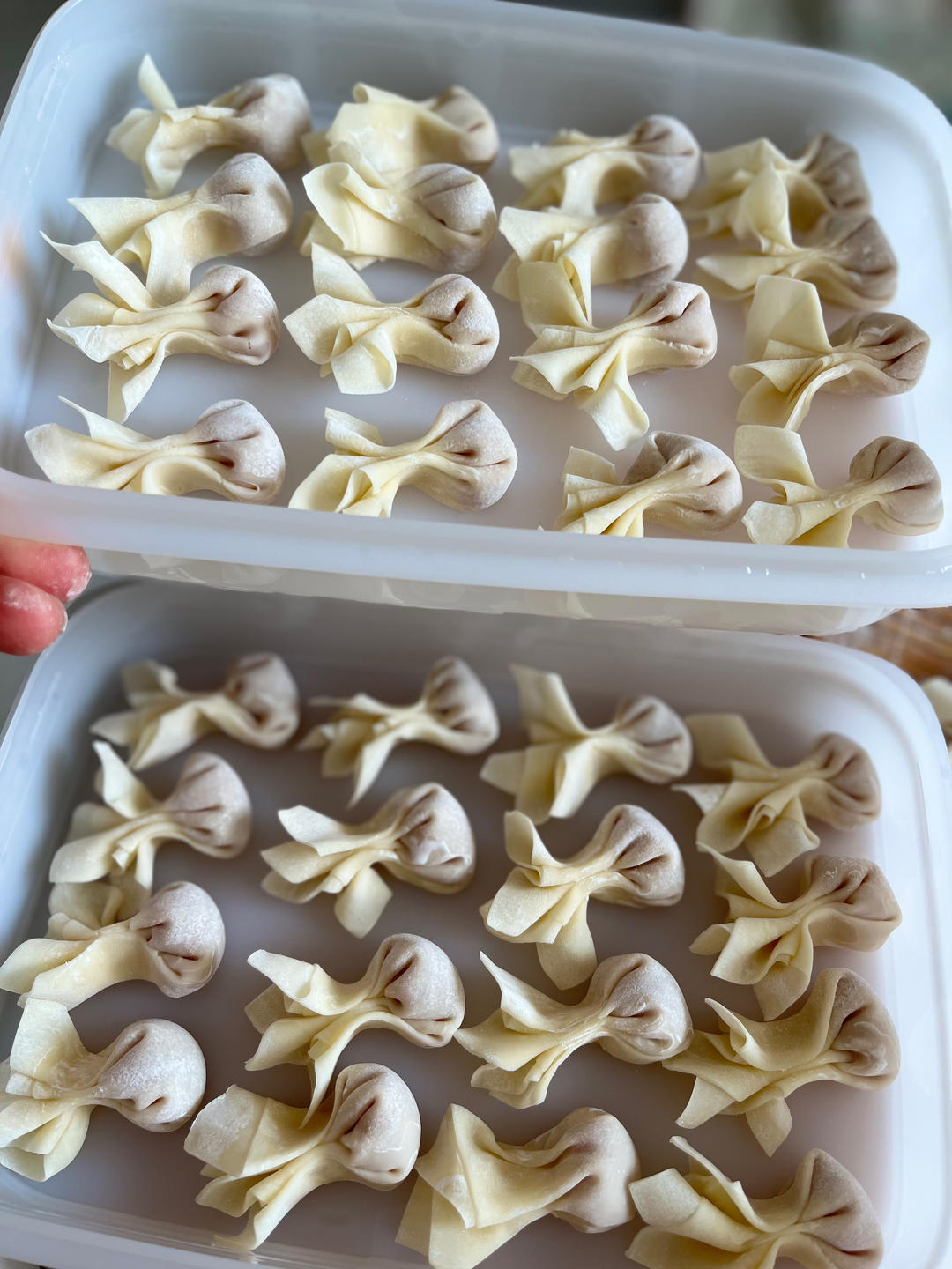 小金鱼混沌