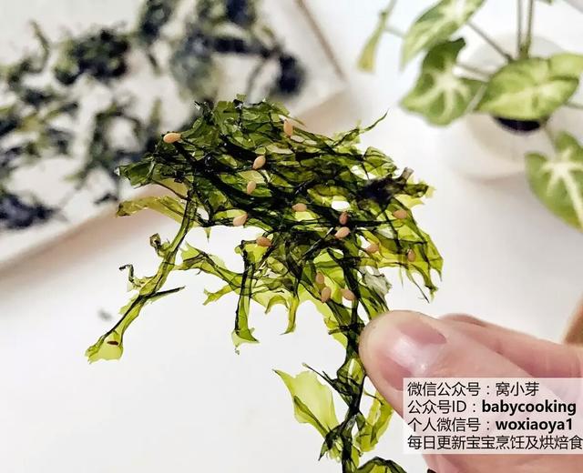 宝宝辅食:自制海苔—3步轻松完成,美味补钙,口感酥脆,再也不用担心海苔不够吃了!的做法