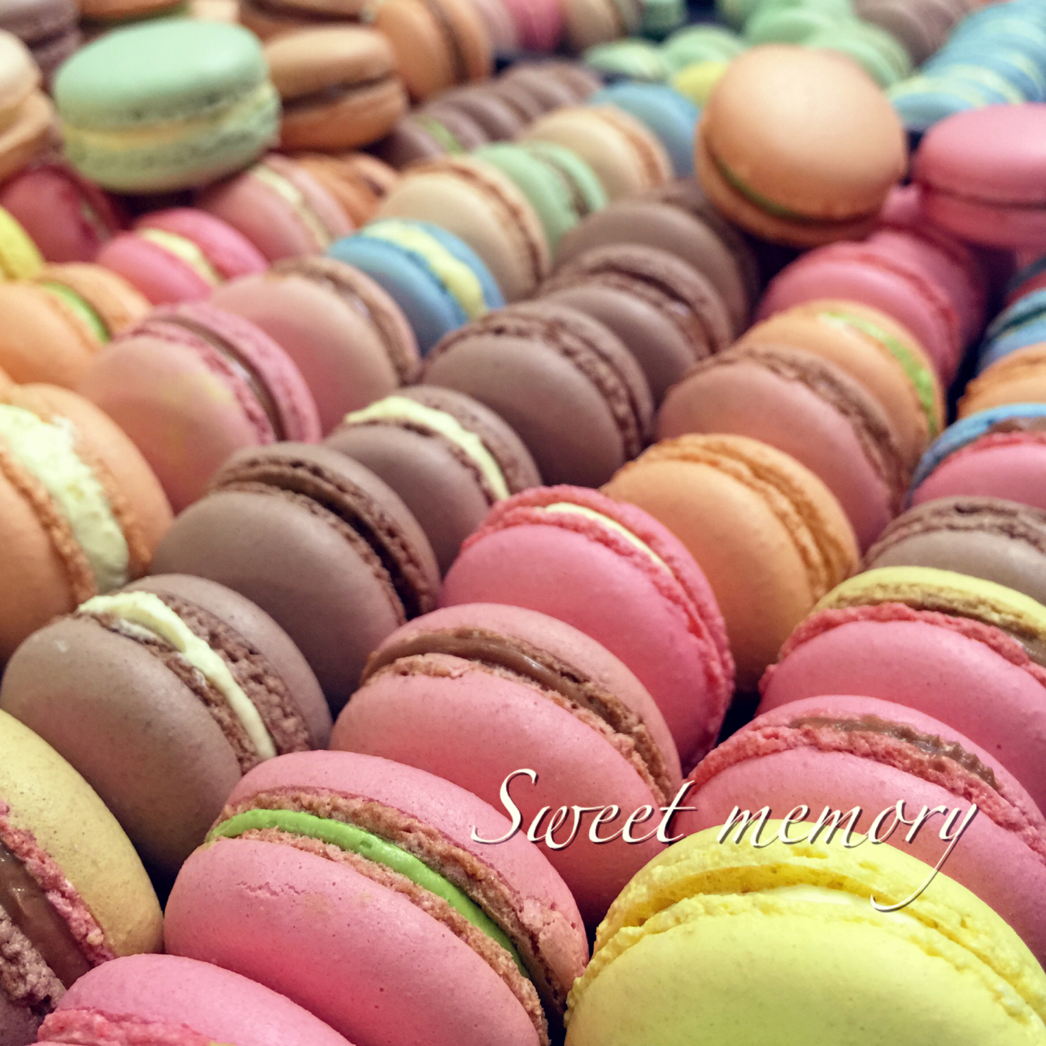 烘焙的sweet memory、sweet memory的烘焙