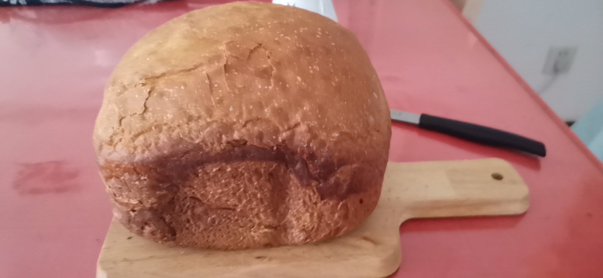 ACA面包机版葡萄干甜面包