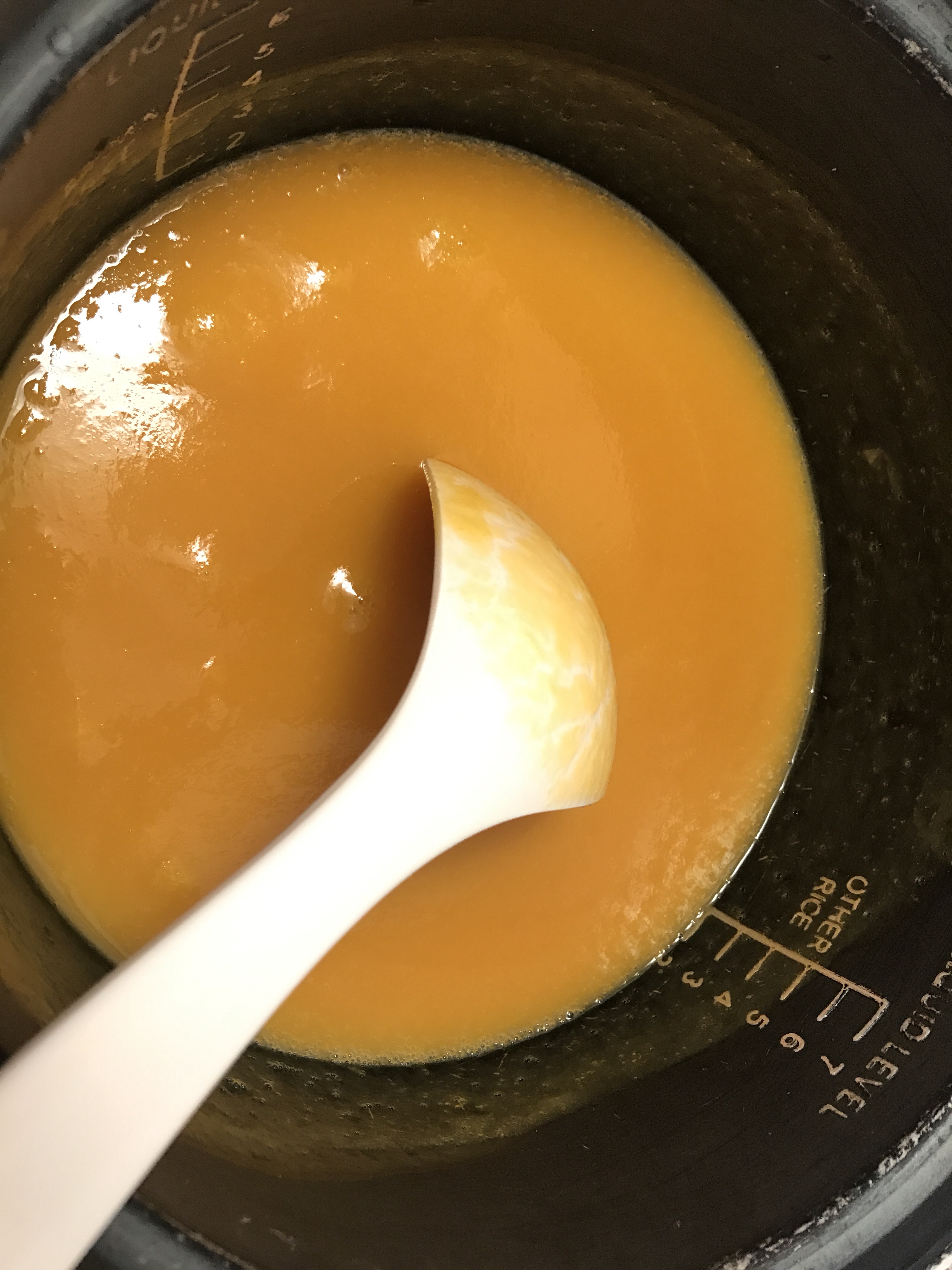 芒果椰奶冻的做法 步骤2