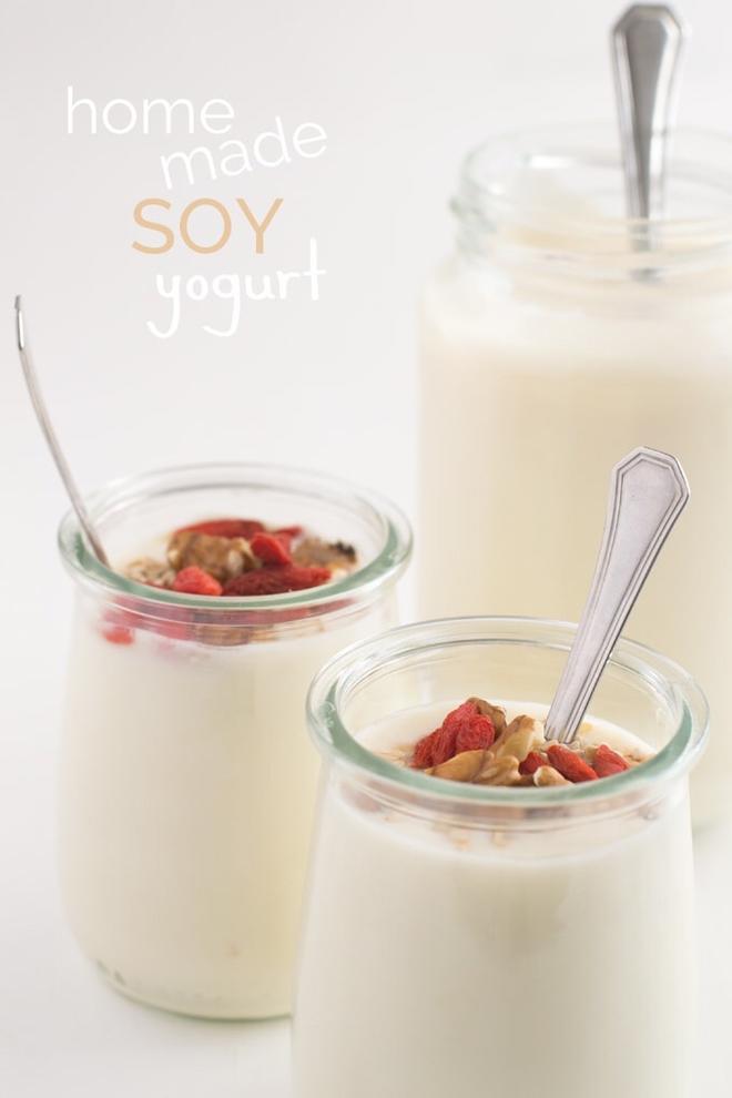 Homemade Soy Yogurt自制酸豆乳发酵豆浆大豆酸奶的做法