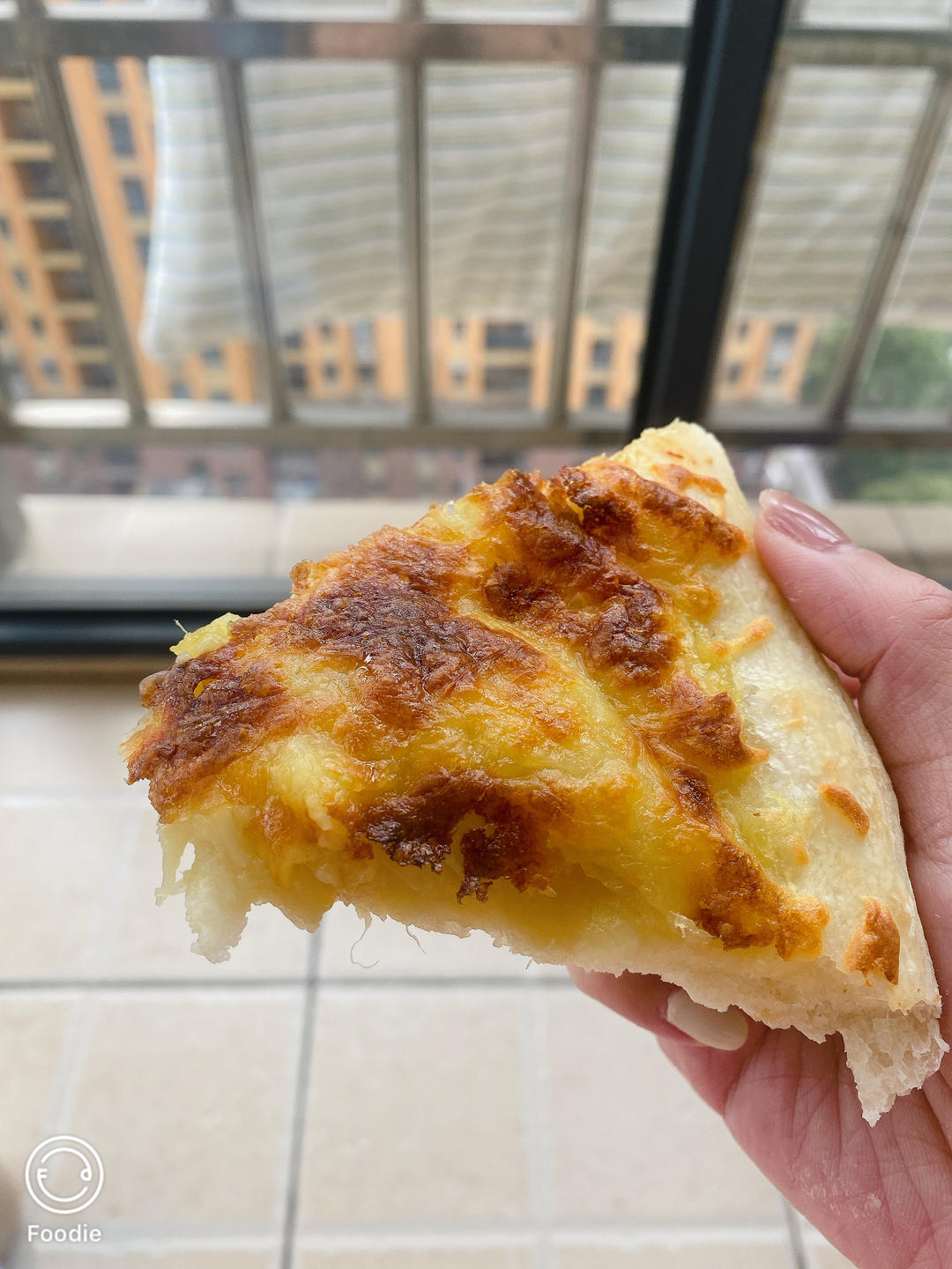 在家也能做出正宗的意大利那不勒斯披萨饼皮 (Pizza Napoletana)