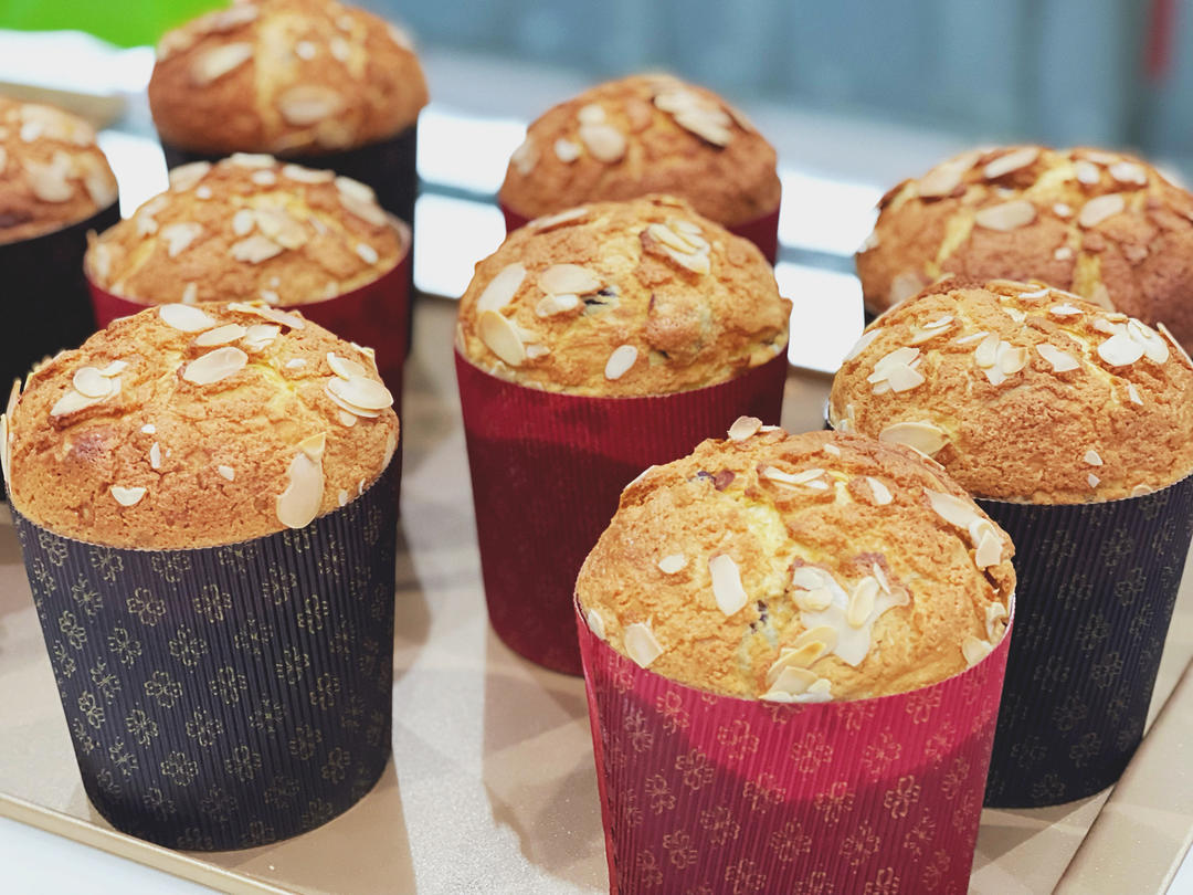 极简潘娜托尼❤️圣诞经典面包