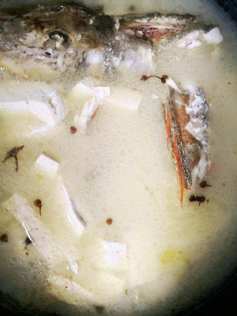红头鱼炖豆腐