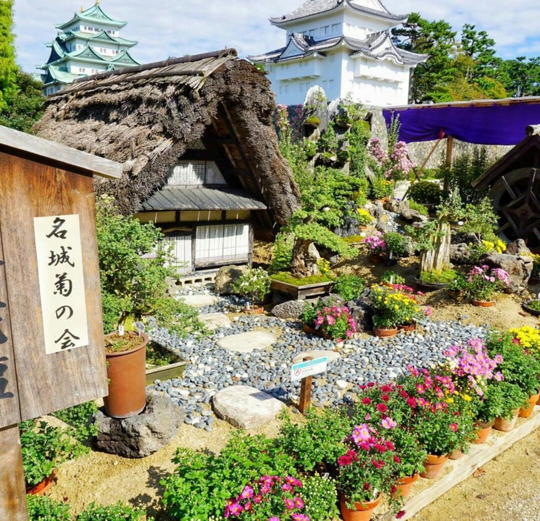 花儿朵朵俏