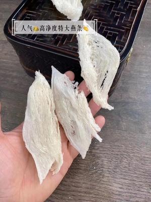 牛奶红枣燕窝详细教程的做法 步骤1