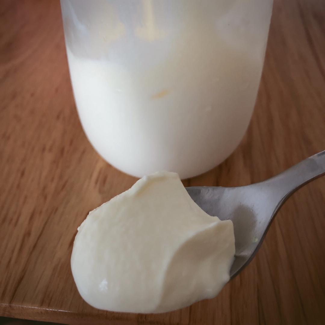 酸奶，自制酸奶，浓厚醇香