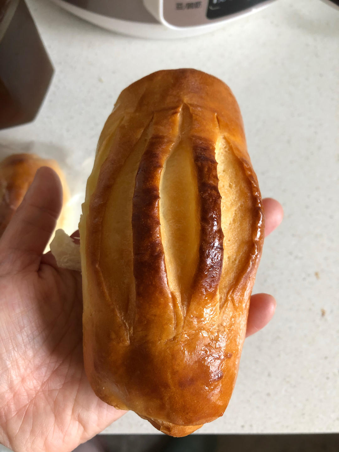 牛奶哈斯