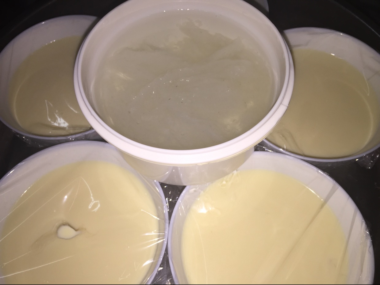 牛奶炖鸡蛋