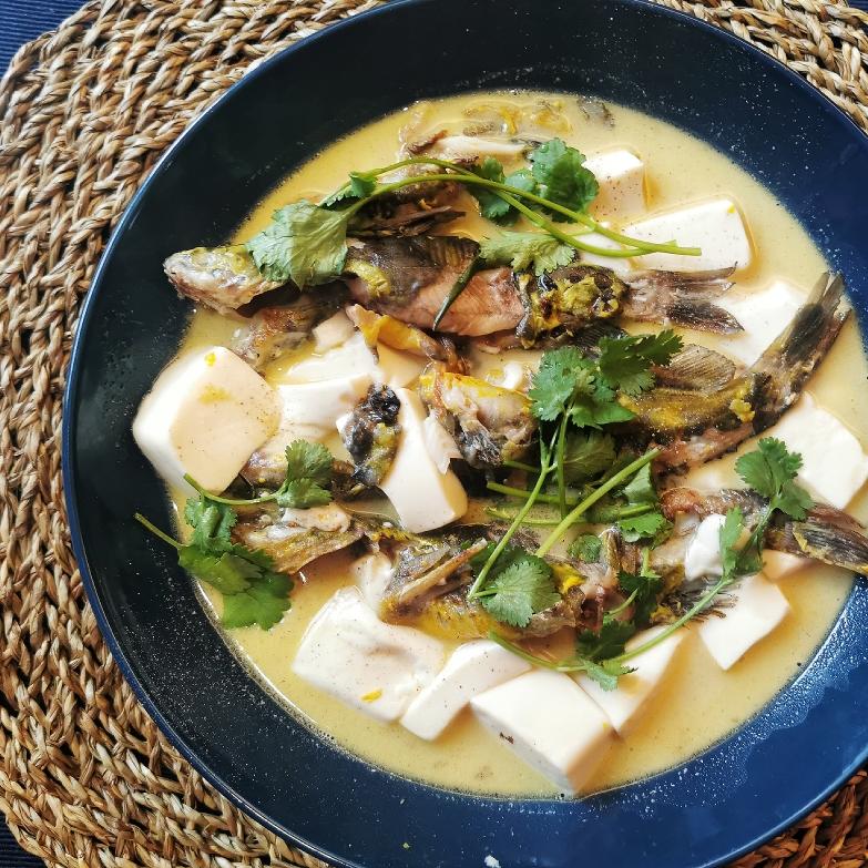 鲜美昂刺鱼嫩豆腐汤