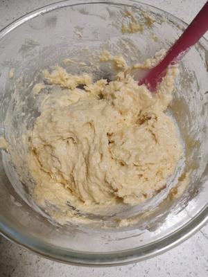 椰蓉软面包（汤种和面法）的做法 步骤9