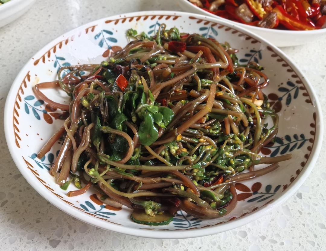 爆香马齿苋