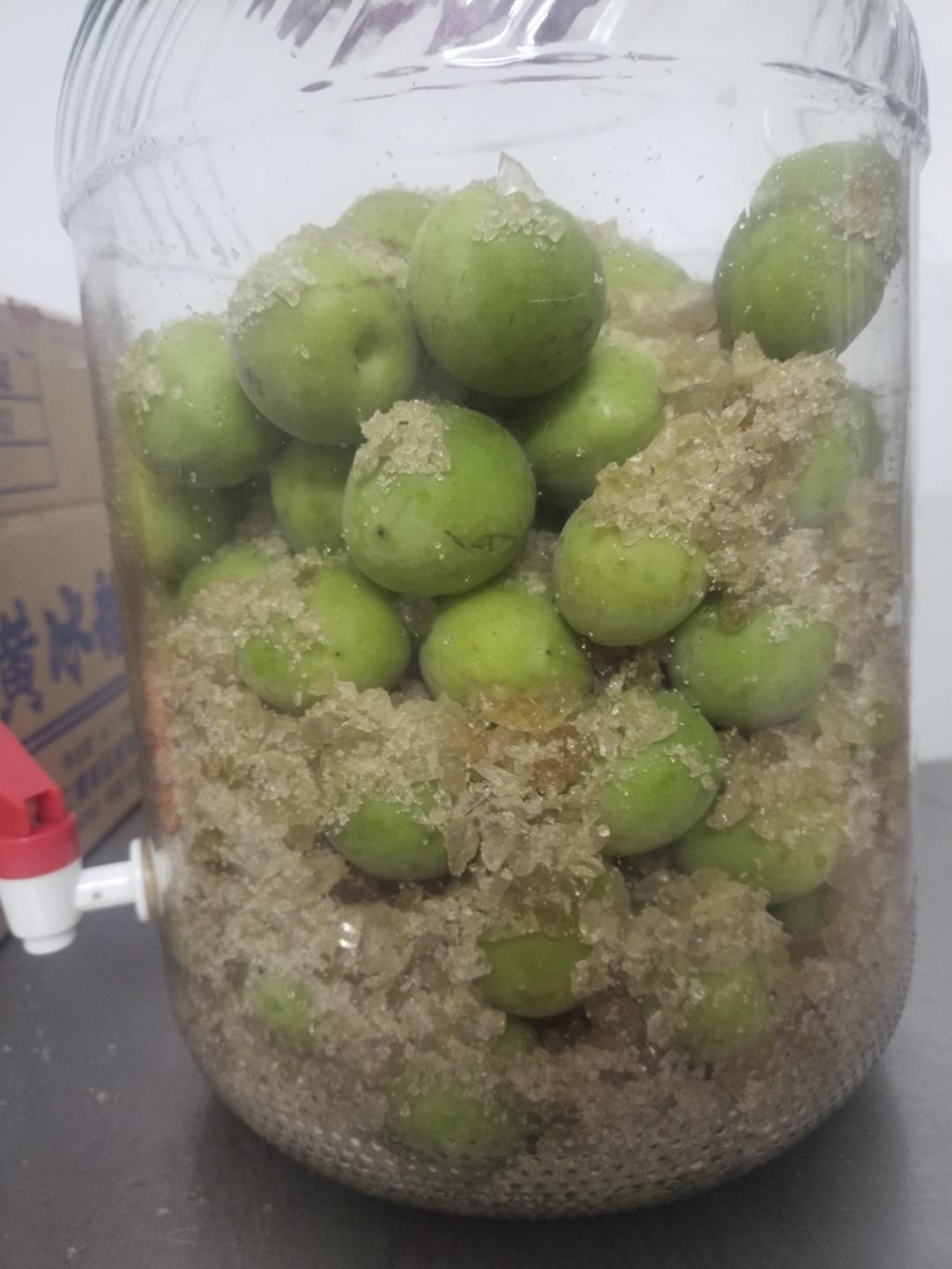 果酒 | 青梅酒 | 青梅露