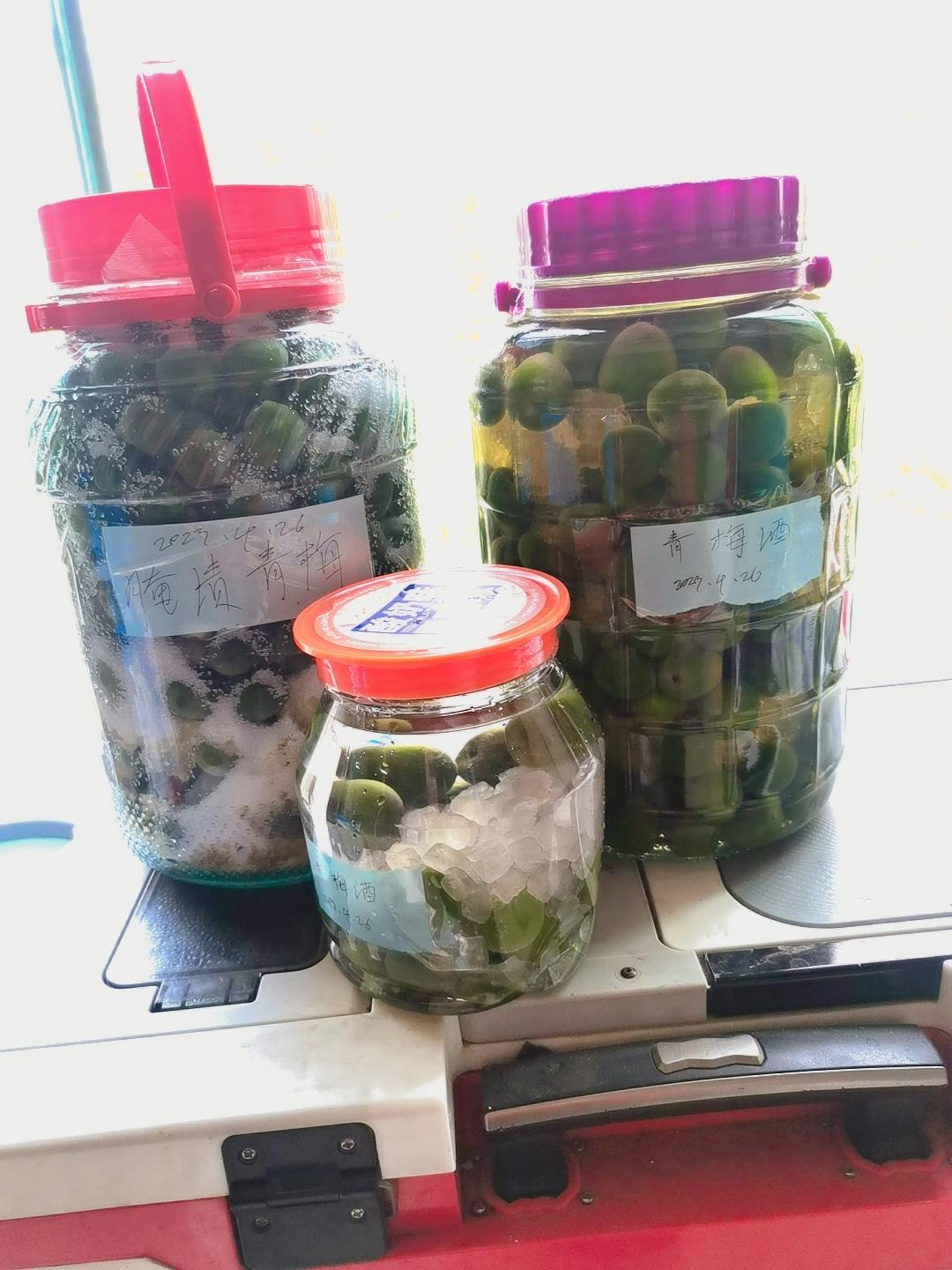 超级好喝的青梅酒以及青梅的各种吃法