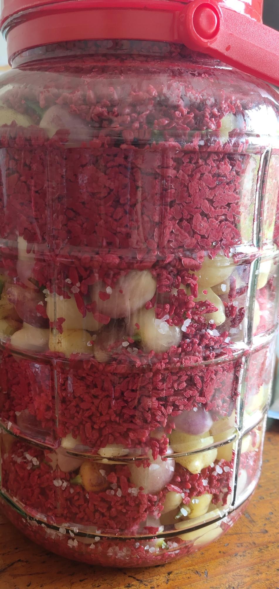 红谷糟(特别香)