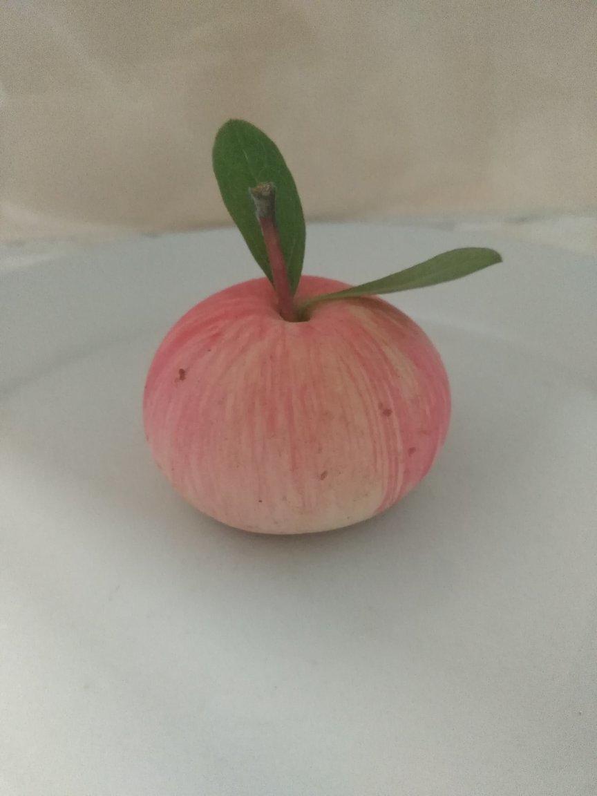 苹果烧果子