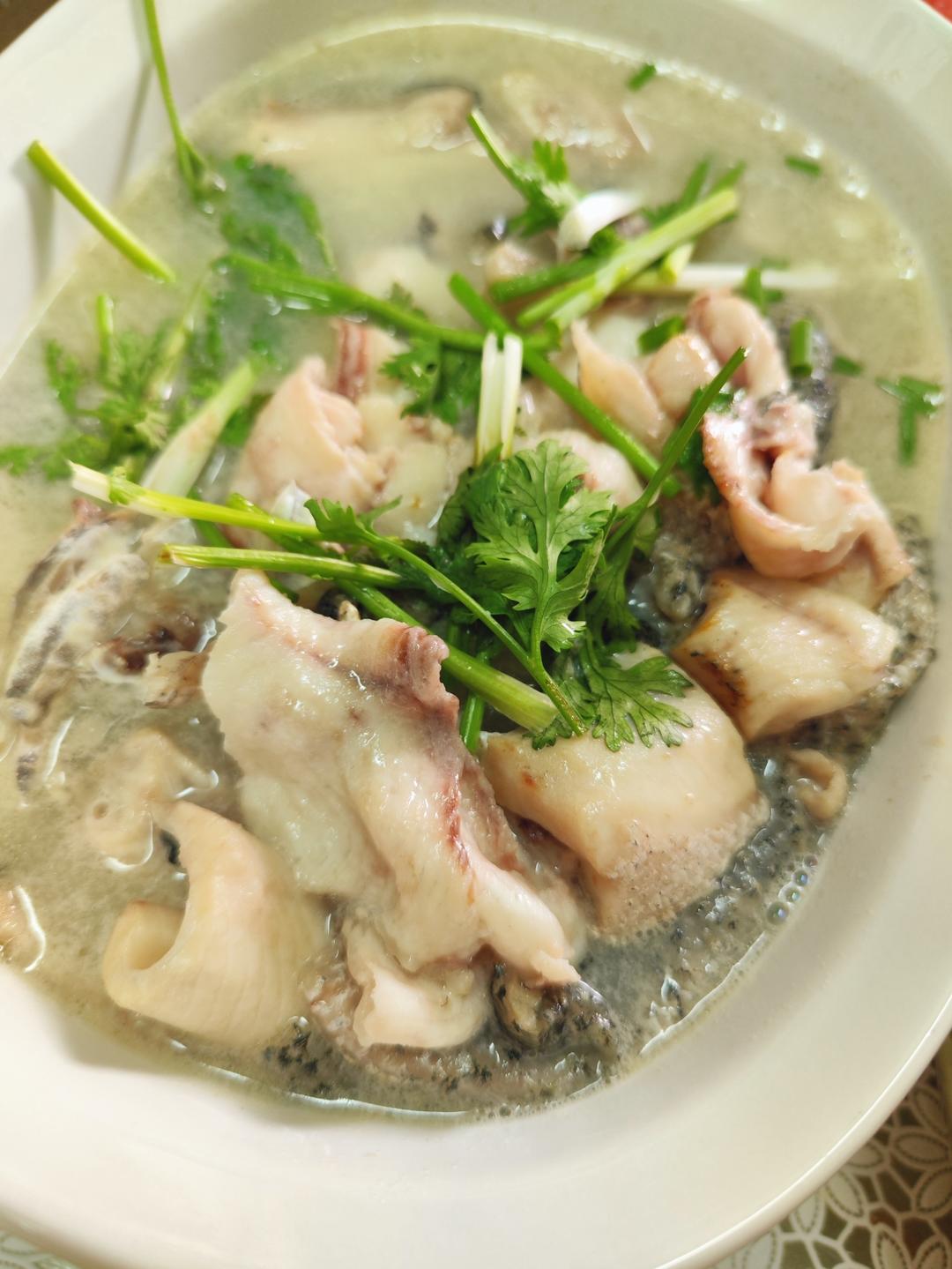 黑鱼汤
