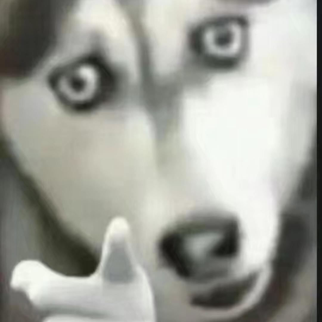 游桔宝宝