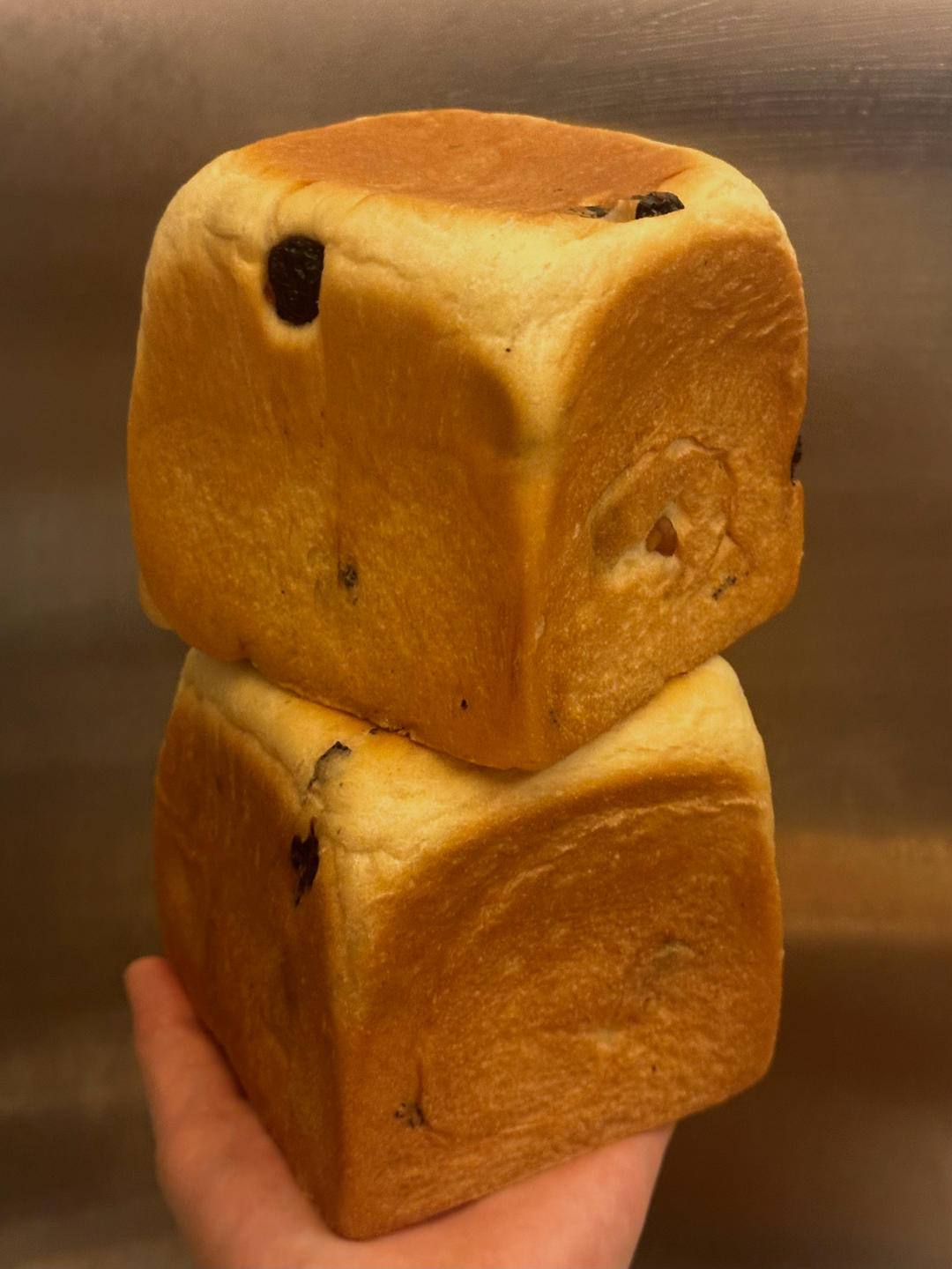 鲜奶提子吐司