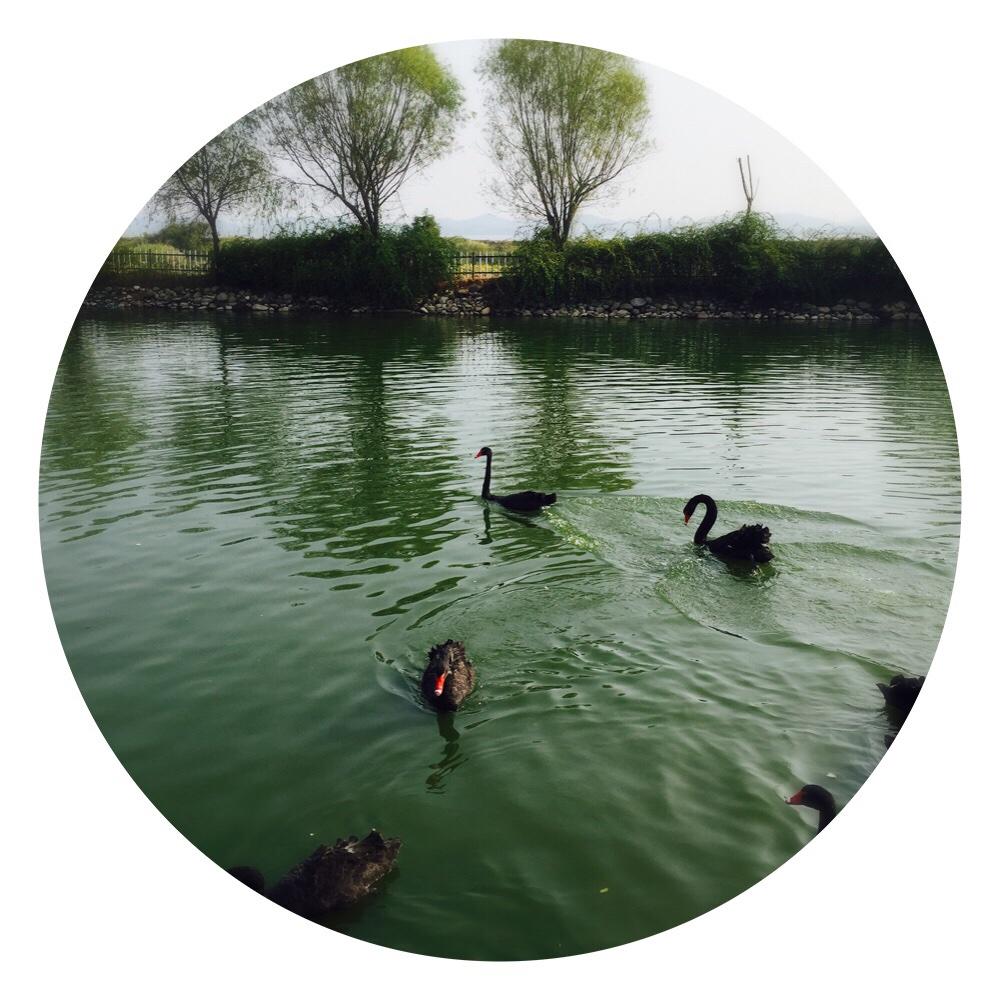 手机用户6980_cyrd