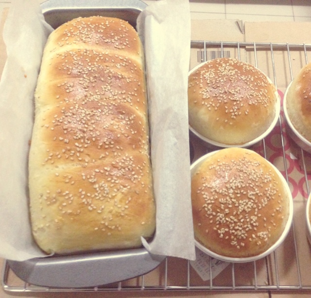 简单免揉——松软汉堡胚