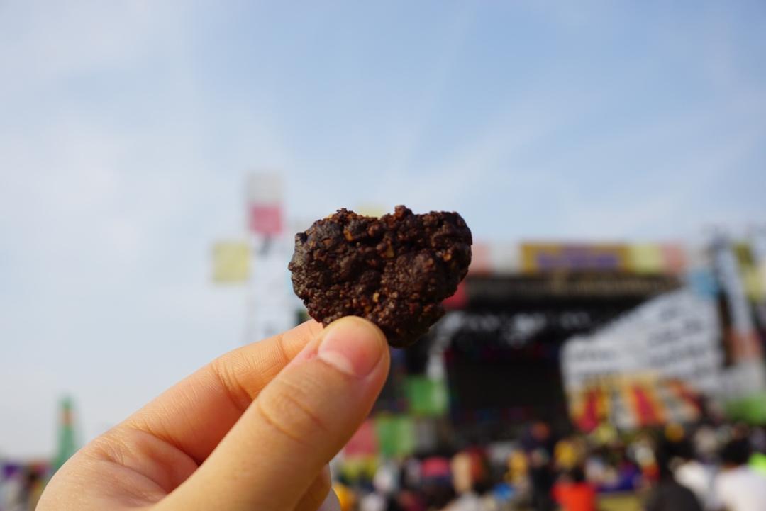 巧克力燕麦饼干