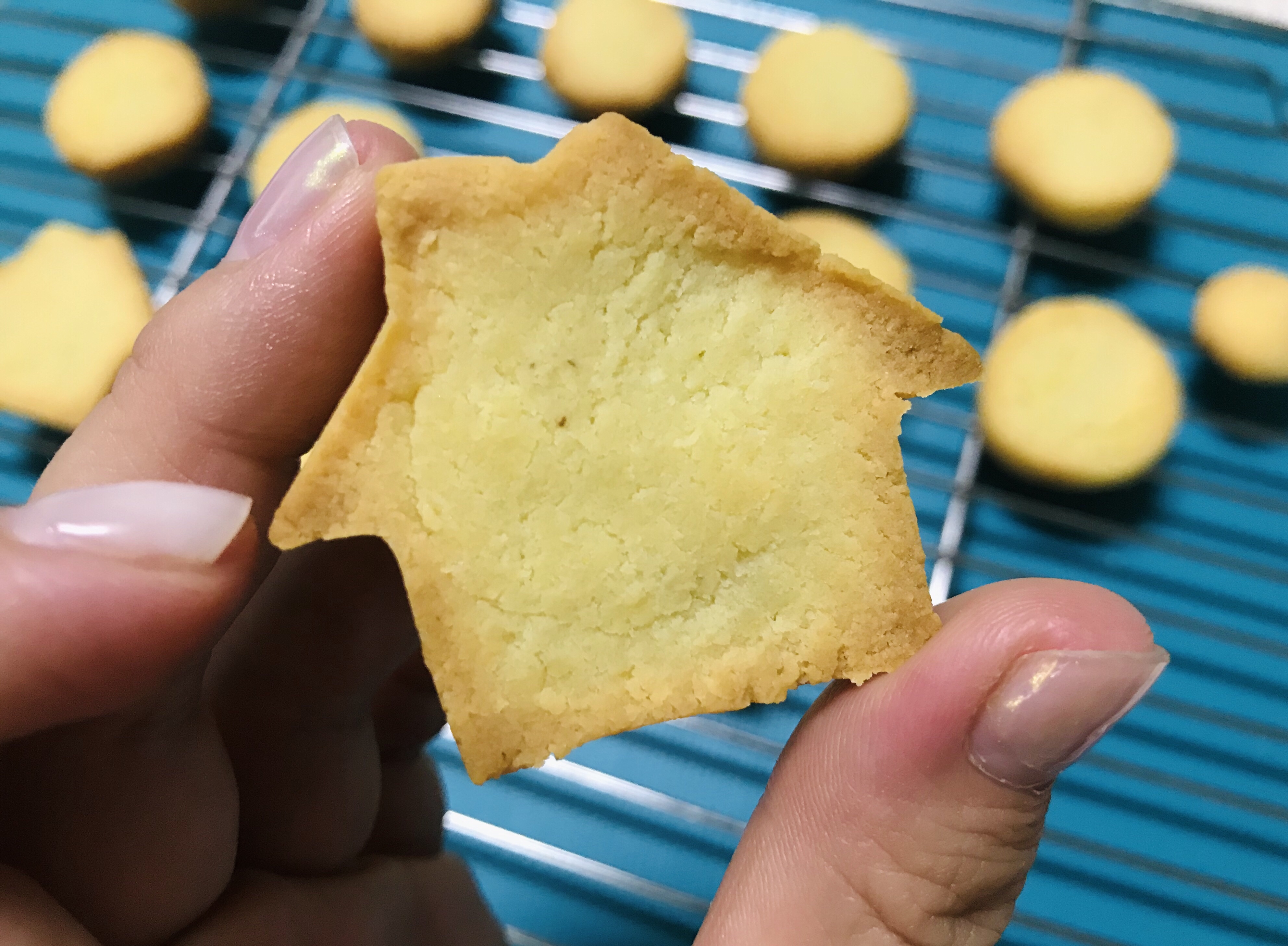 杏仁饼干——无碳零卡糖生酮版的做法