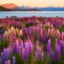 手机用户7700_jihw