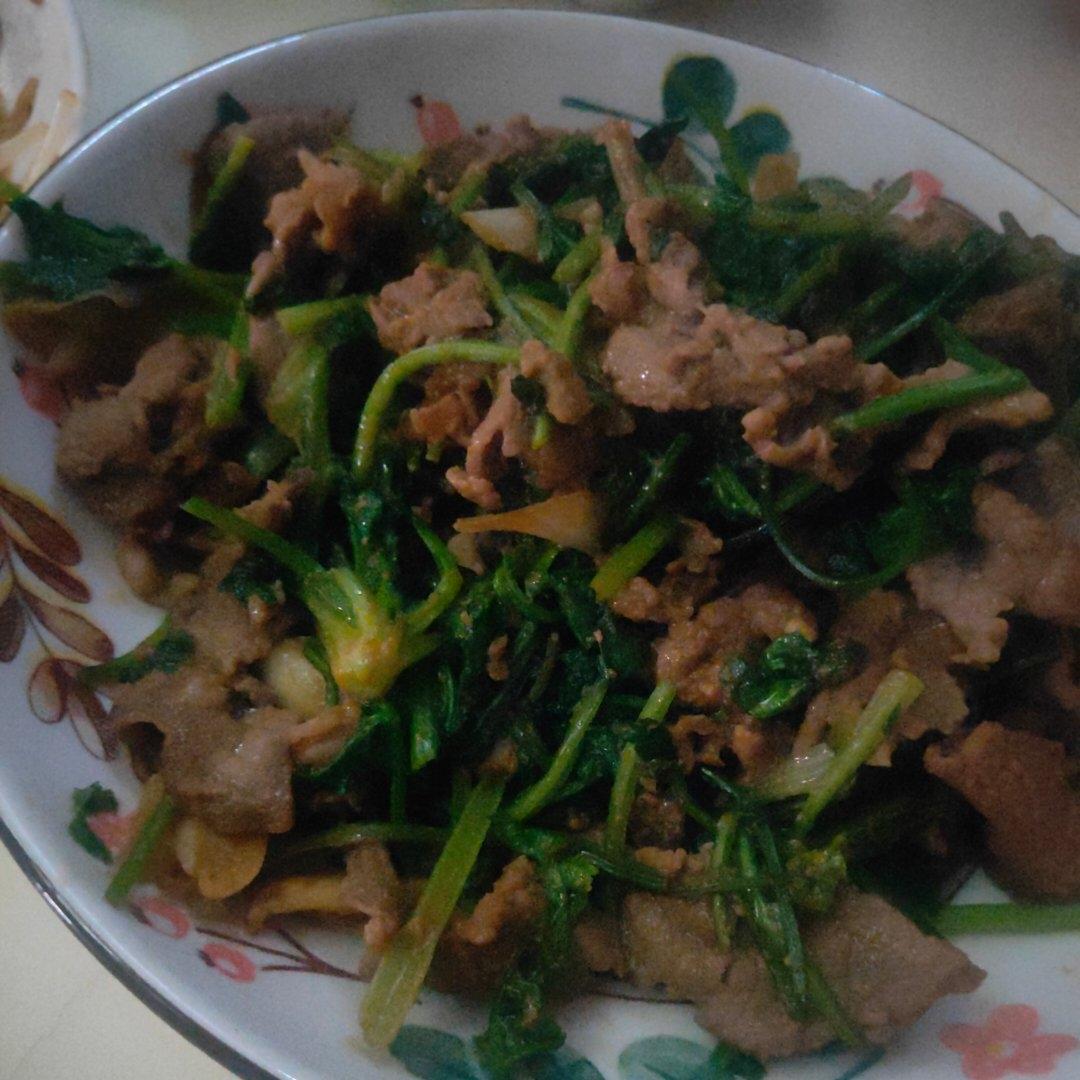 香菜牛肉