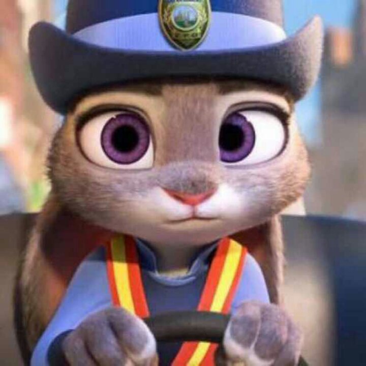 一只爱跑步的慢慢