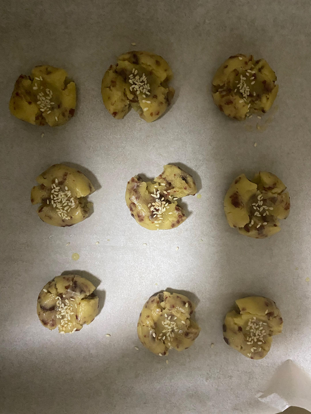 核桃酥 女侠森森