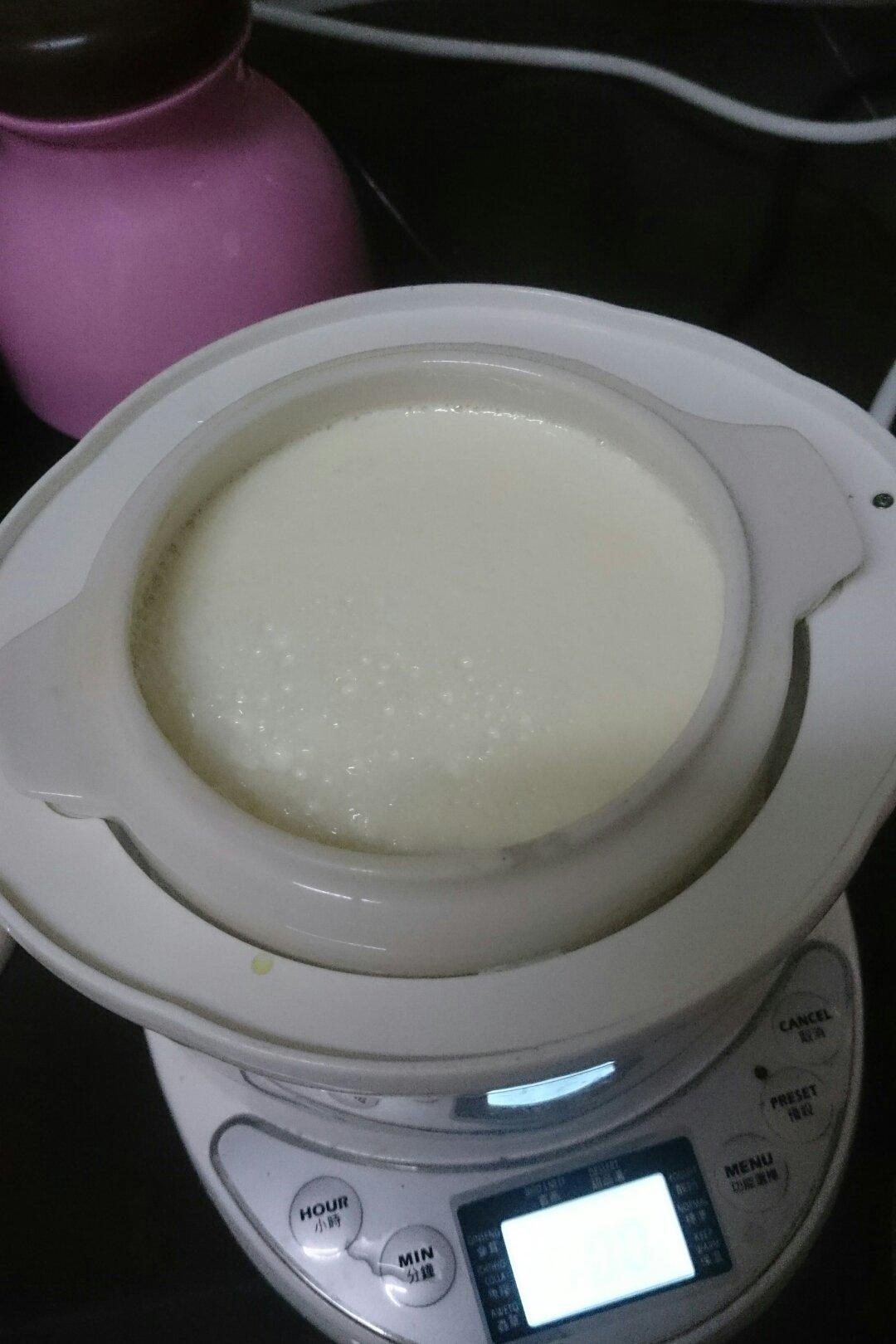 李诗媚做的电炖盅做酸奶