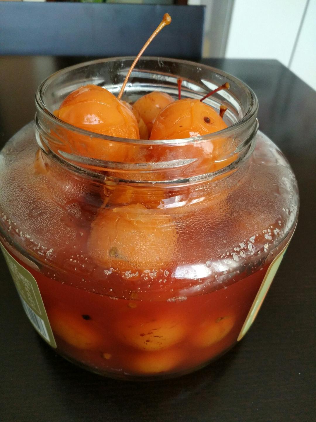冰糖海棠
