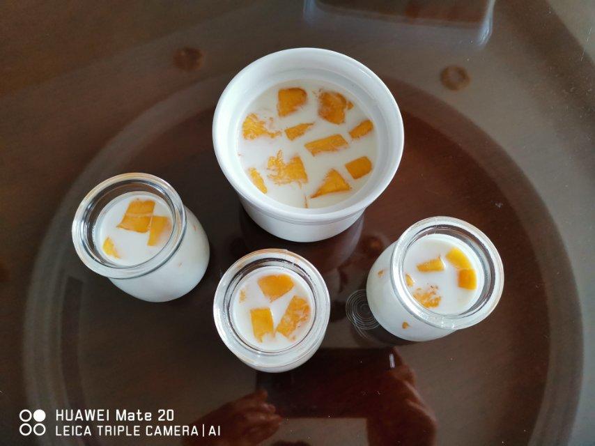 芒果牛奶布丁