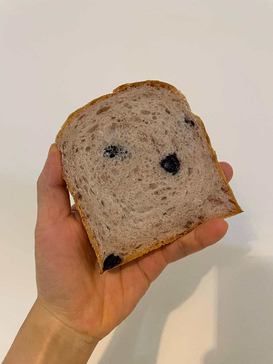 鲁邦中种玫瑰果干吐司
