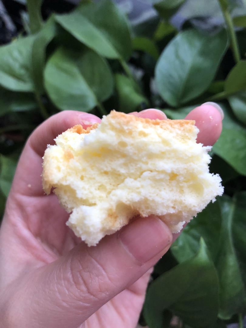 炼乳纸杯蛋糕